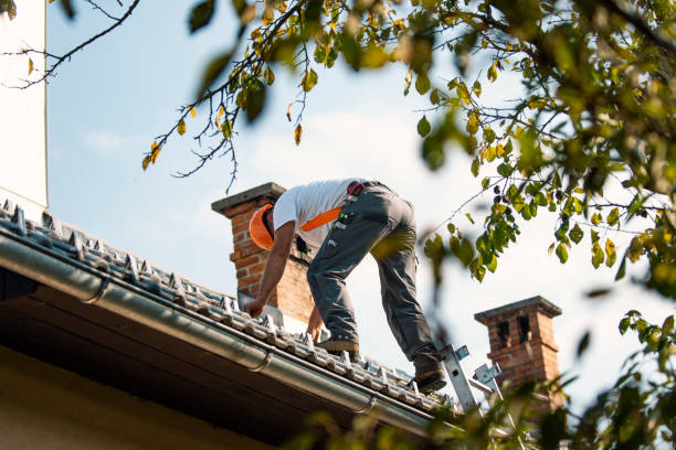 Fast & Reliable Emergency Roof Repairs in Sherman, TX